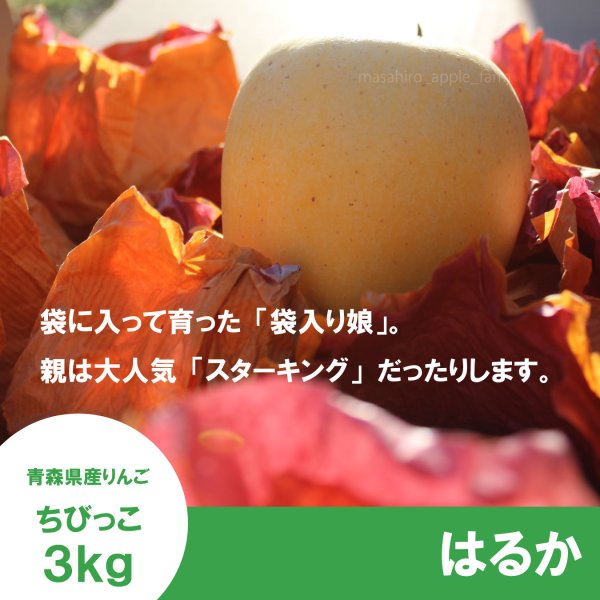 画像3: ★一玉約200g★ちびっこはるか　家庭用　 ３kg（約13-14個）≪送料込≫ (3)