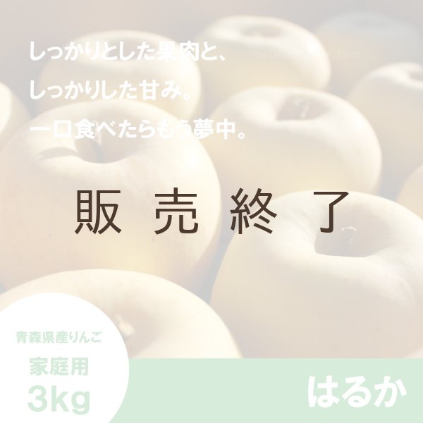 画像1: はるか　家庭用　 ３kg（約9-12個）≪送料込≫ (1)