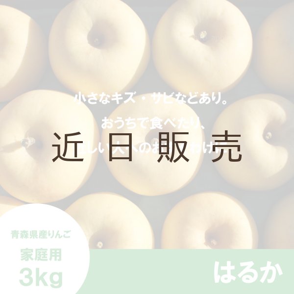 画像2: はるか　家庭用　 ３kg（約9-12個）≪送料込≫ (2)