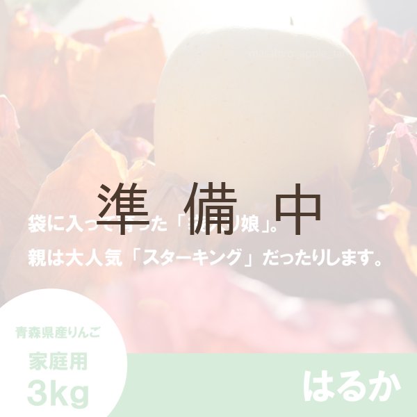画像3: はるか 家庭用  3kg(約9-12個)≪送料込≫ (3)