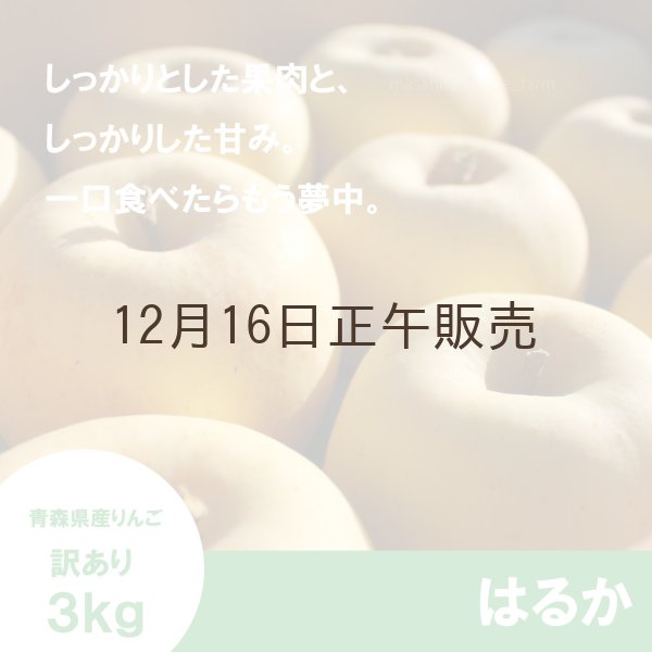 画像1: はるか　訳あり　３kg（約10個程度）≪送料込≫ (1)