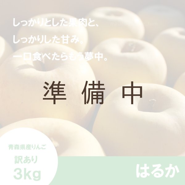 画像1: ※11月下旬〜12月上旬発送※ はるか　訳あり　３kg（約10個程度）≪送料込≫ (1)