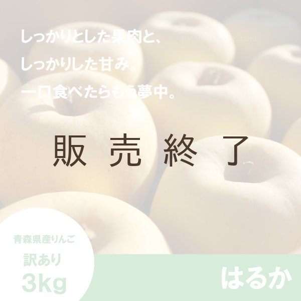 画像1: はるか　訳あり　３kg（約10個程度）≪送料込≫ (1)
