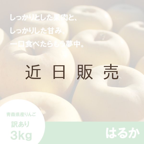 画像1: はるか　訳あり　３kg（約10個程度）≪送料込≫ (1)
