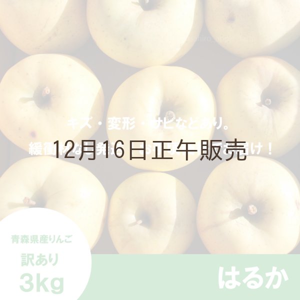 画像2: はるか　訳あり　３kg（約10個程度）≪送料込≫ (2)
