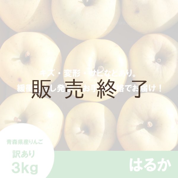 画像2: はるか　訳あり　３kg（約10個程度）≪送料込≫ (2)