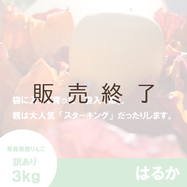 画像3: はるか　訳あり　３kg（約10個程度）≪送料込≫ (3)