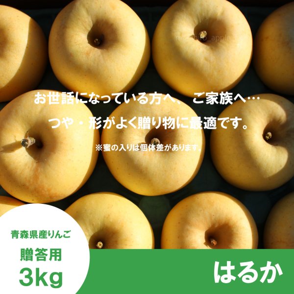 画像2: はるか　贈答用　３kg （約9-12個）≪送料込≫ (2)