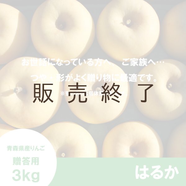 画像2: はるか　贈答用　３kg （約9-12個）≪送料込≫ (2)