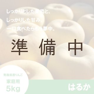 星の金貨【家庭用5kg】｜まさひろ林檎園