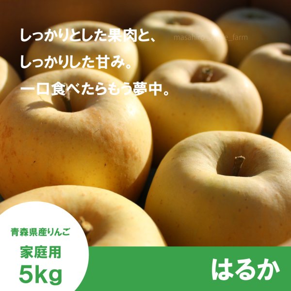 画像1: はるか　家庭用　 ５kg（約14-20個）≪送料込≫ (1)