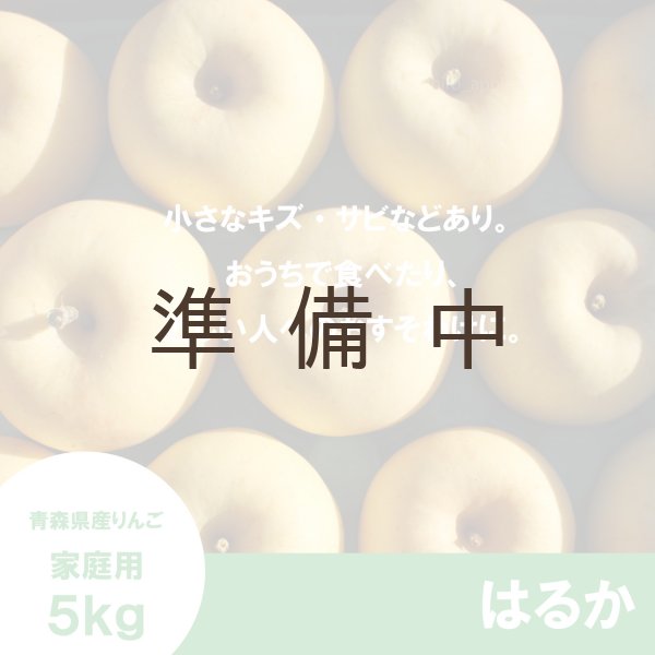 林檎 生)林檎博'24-景気の回復-(通常盤)【DVD】 | 椎名林檎 | UPBH