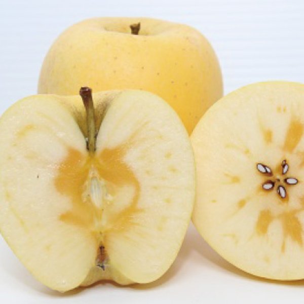 画像4: はるか　家庭用　 ５kg（約14-20個）≪送料込≫ (4)