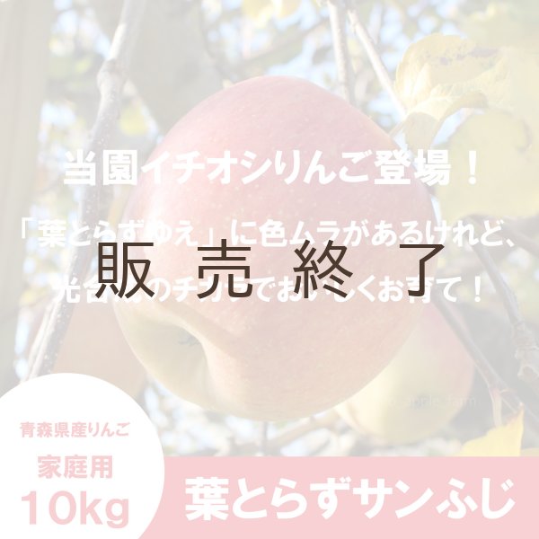 画像1: ※12月第二週発送予定※ 葉とらずサンふじ　家庭用　１０kg（約28-40個）≪送料込≫ (1)