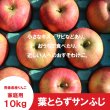 画像2: ※12月上旬発送※ 葉とらずサンふじ　家庭用　１０kg（約28-40個）≪送料込≫ (2)