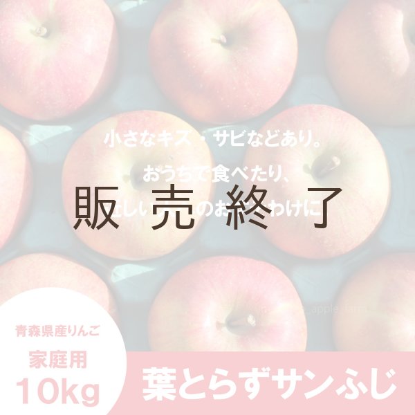 画像2: ※12月第二週発送予定※ 葉とらずサンふじ　家庭用　１０kg（約28-40個）≪送料込≫ (2)