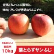 画像3: ※12月上旬発送※ 葉とらずサンふじ　家庭用　１０kg（約28-40個）≪送料込≫ (3)