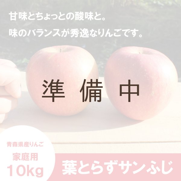 画像3: 葉とらずサンふじ 家庭用 10kg(約28-40個)≪送料込≫ (3)
