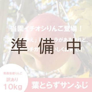サンつがる【訳あり10kg】｜まさひろ林檎園