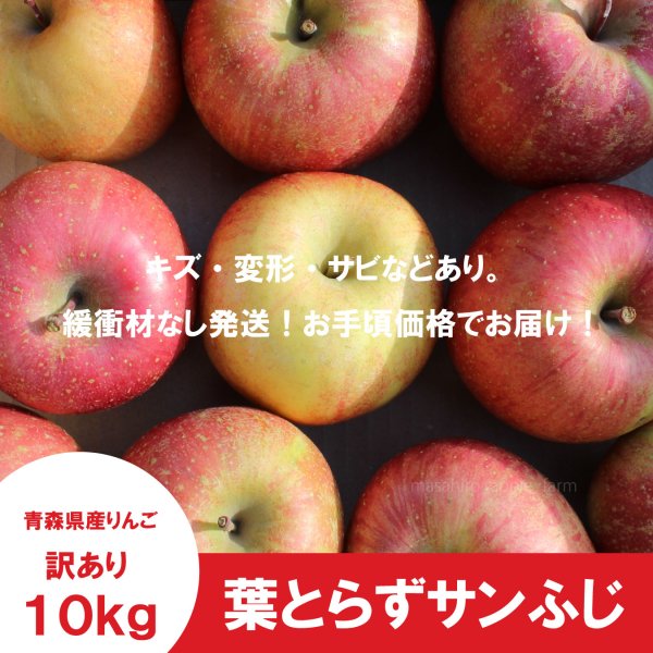 画像2: ※12月第二週発送予定※ 葉とらずサンふじ　訳あり　約１０kg（約40個程度）≪送料込≫ (2)