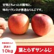 画像3: ※12月上旬発送※ 葉とらずサンふじ　訳あり　約１０kg（約40個程度）≪送料込≫ (3)