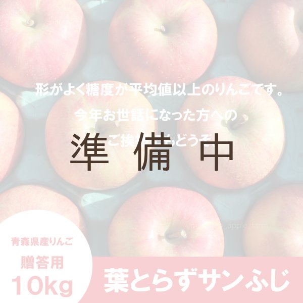 画像2: 葉とらずサンふじ 贈答用 10kg ≪送料込≫ (2)