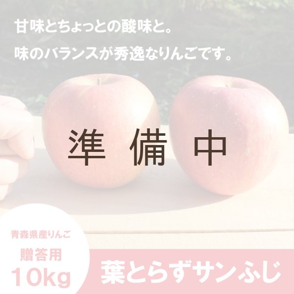 画像3: 葉とらずサンふじ 贈答用 10kg ≪送料込≫ (3)