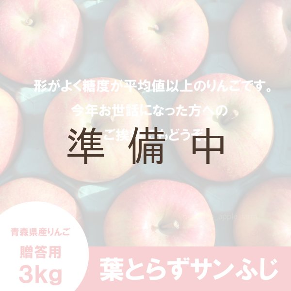 画像2: 葉とらずサンふじ　贈答用　３kg ≪送料込≫ (2)