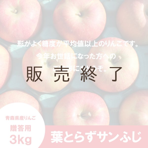 画像2: ※12月第二週発送予定※ 葉とらずサンふじ　贈答用　３kg（約9-12個） ≪送料込≫ (2)