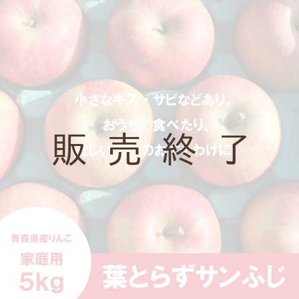 画像2: ※12月第二週発送予定※ 葉とらずサンふじ　贈答用　５kg（約12-20個） ≪送料込≫ (2)