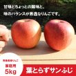 画像3: ※12月上旬発送※ 葉とらずサンふじ　家庭用　５kg（約12-20個）≪送料込≫ (3)