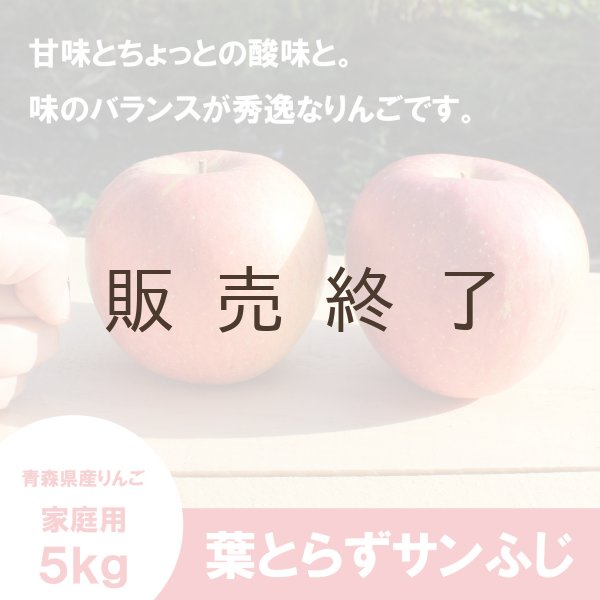 画像3: ※12月第二週発送予定※ 葉とらずサンふじ　家庭用　５kg（約12-20個）≪送料込≫ (3)
