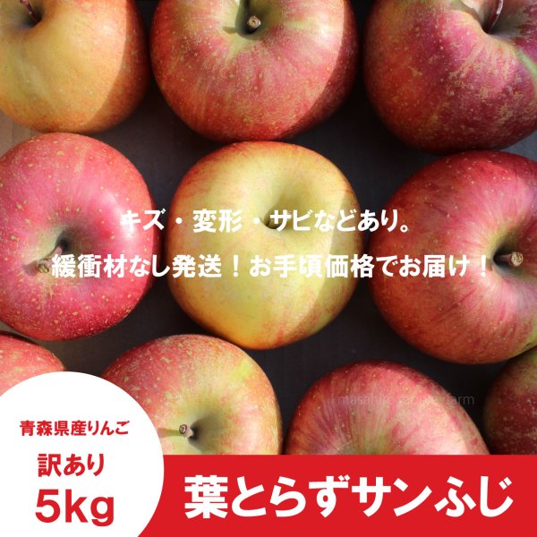 画像2: ※12月第二週発送予定※ 葉とらずサンふじ　訳あり　約５kg（約20個程度）≪送料込≫ (2)