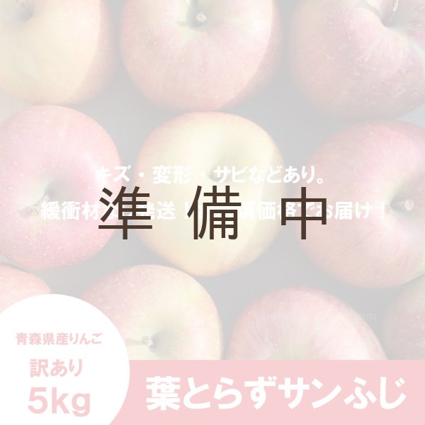 画像2: ※12月第二週発送予定※ 葉とらずサンふじ　訳あり　約５kg（約20個程度）≪送料込≫ (2)