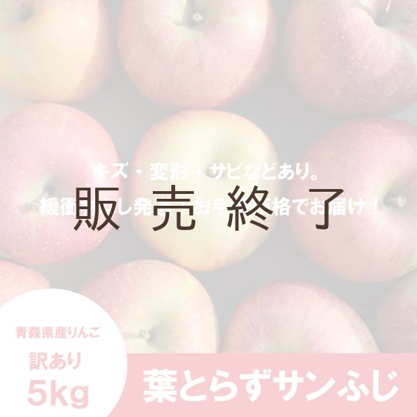 画像2: ※12月第二週発送予定※ 葉とらずサンふじ　訳あり　約５kg（約20個程度）≪送料込≫ (2)