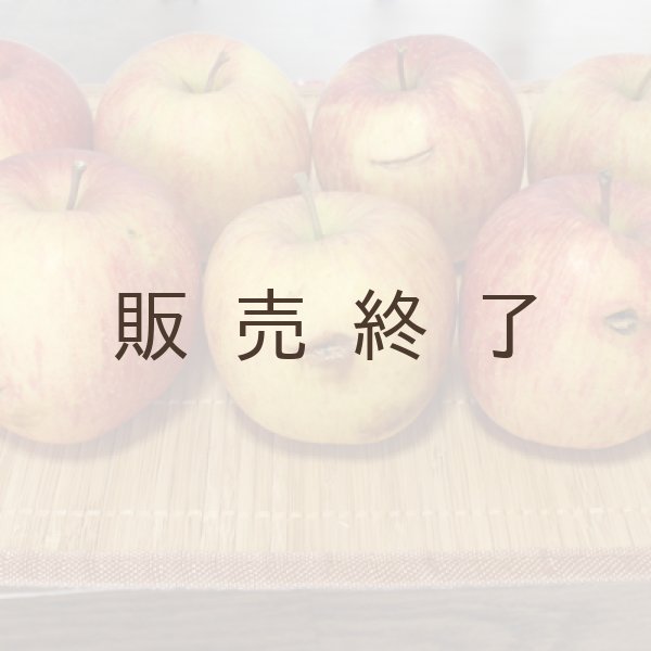 画像4: ※12月第二週発送予定※ 葉とらずサンふじ　訳あり　約１０kg（約40個程度）≪送料込≫ (4)