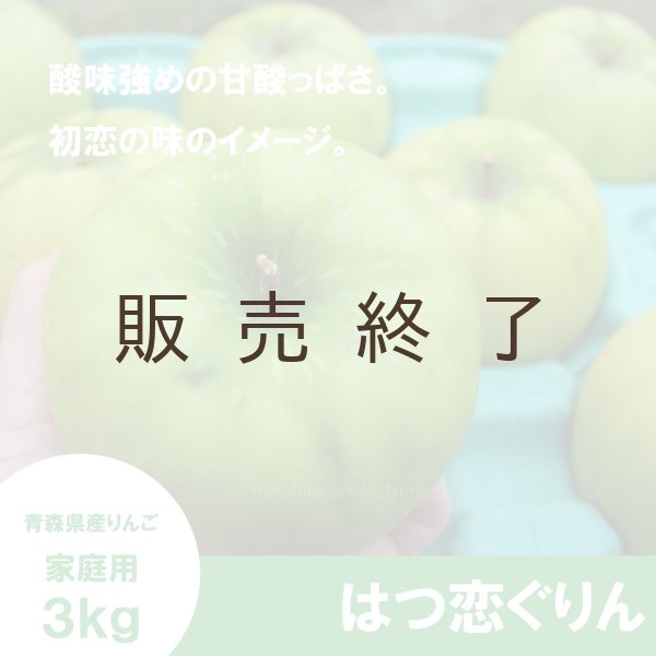 画像1: 【調理向き】 はつ恋ぐりん　家庭用　3kg（約9〜12個）≪送料込≫ (1)