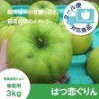 画像1: 【調理向き】 はつ恋ぐりん 家庭用 3kg(約9〜12個)≪送料込≫ (1)