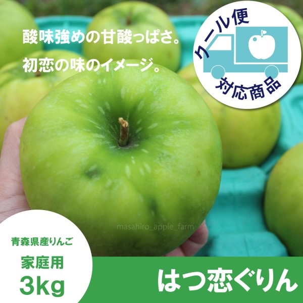 画像1: 【調理向き】 はつ恋ぐりん 家庭用 3kg(約9〜12個)≪送料込≫ (1)