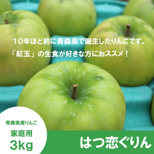 画像3: 【調理向き】 はつ恋ぐりん 家庭用 3kg(約9〜12個)≪送料込≫ (3)