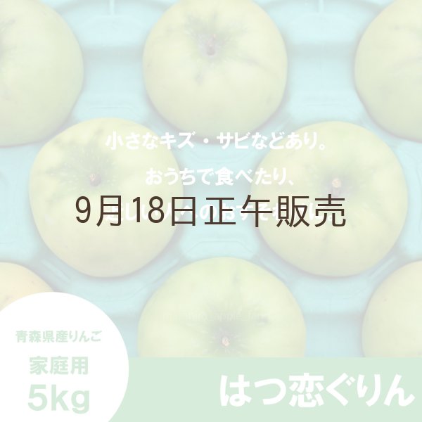 画像2: ※10月中旬発送予定※【調理向き】 はつ恋ぐりん　家庭用　５kg（約14〜20個）≪送料込≫ (2)