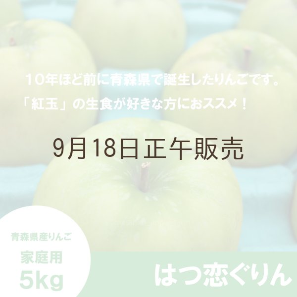 画像3: ※10月中旬発送予定※【調理向き】 はつ恋ぐりん　家庭用　５kg（約14〜20個）≪送料込≫ (3)