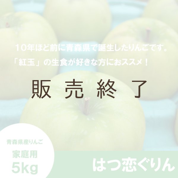 画像3: 【調理向き】 はつ恋ぐりん　家庭用　５kg（約14〜20個）≪送料込≫ (3)