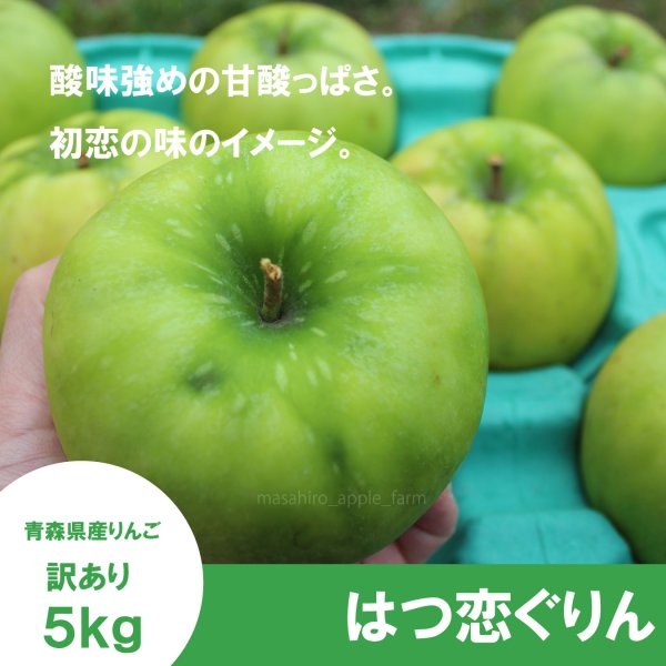 画像1: 【調理向き】 はつ恋ぐりん　訳あり　５kg（約20個）≪送料込≫ (1)