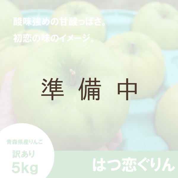 画像1: 【調理向き】 はつ恋ぐりん　訳あり　５kg（約20個）≪送料込≫ (1)
