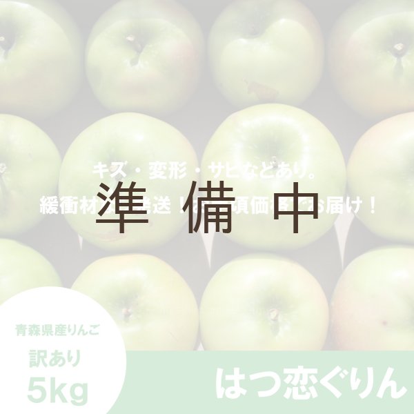 画像2: 【調理向き】 はつ恋ぐりん　訳あり　５kg（約20個）≪送料込≫ (2)