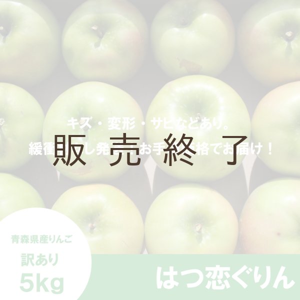 画像2: 【調理向き】 はつ恋ぐりん　訳あり　５kg（約20個）≪送料込≫ (2)