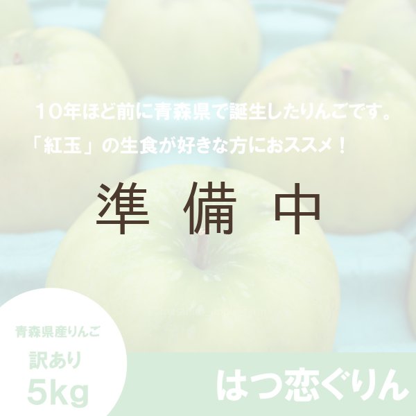 画像3: 【調理向き】 はつ恋ぐりん　訳あり　５kg（約20個）≪送料込≫ (3)