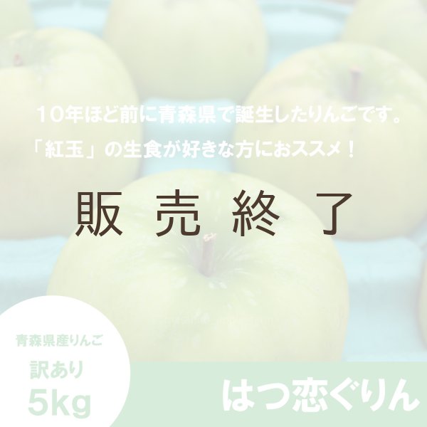 画像3: 【調理向き】 はつ恋ぐりん　訳あり　５kg（約20個）≪送料込≫ (3)