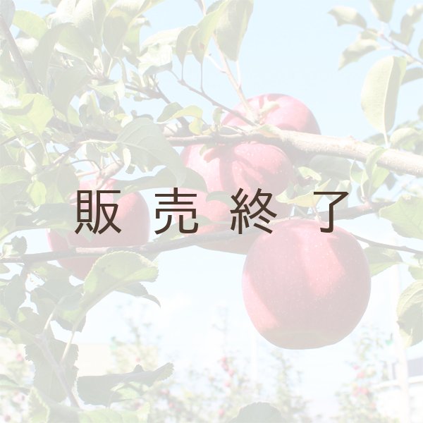 画像4: 早生ふじ　家庭用　１０kg（約28-40個）≪送料込≫ (4)